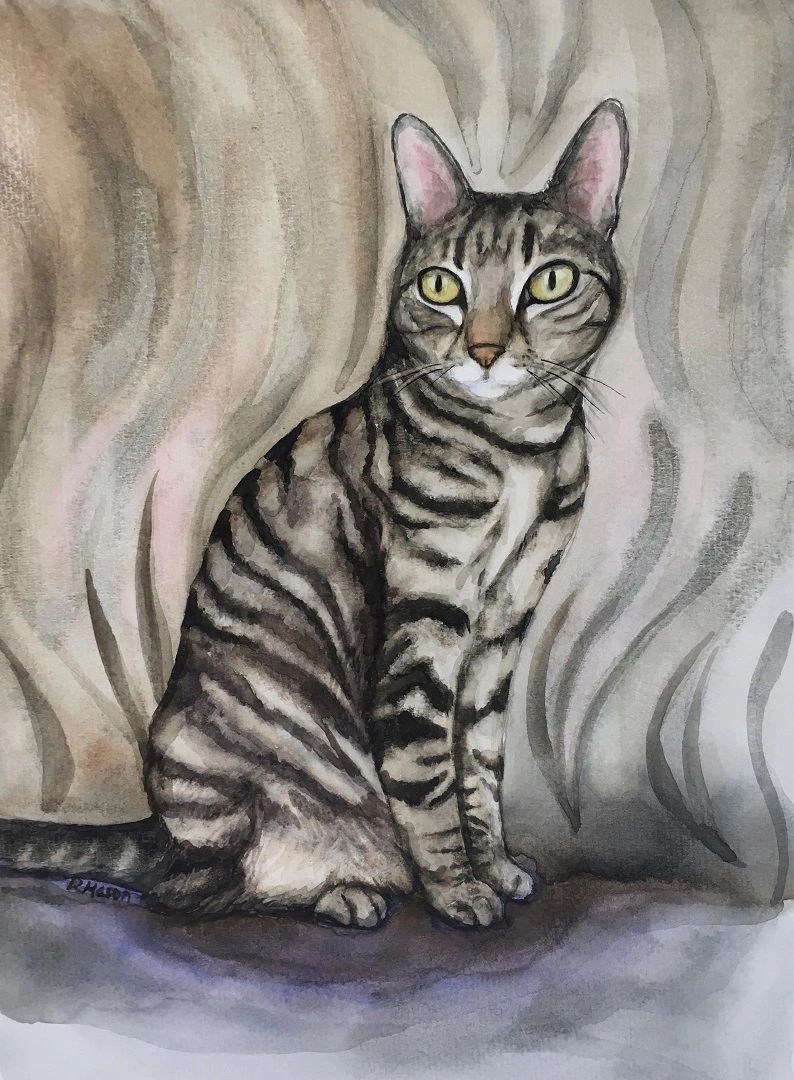 Custom Pet Paintings by Rochelle Mason, Artist
Original artwork, paintings