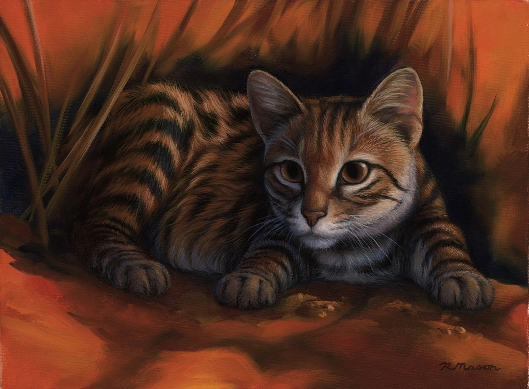 Black-footed cat painting for sale by Rochelle Mason, Artist
Original artwork, paintings