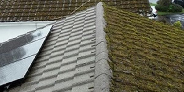 Moss removal re-moss roof cleaning