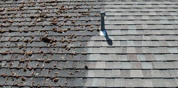 roof cleaning clean roof no moss algae lichen moss removal
