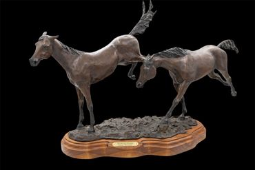 Bronze 31X20"
My first Bronze. I love it when babies play these yearlings display two different pers