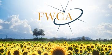 The SPARK FWCA Logo is shown in a blue skyline above a field of bright yellow sunflowers.