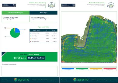 Madison Drone Operations - Crop Analysis Report
