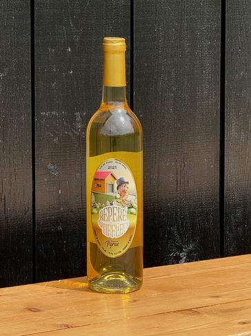 A bottle of white wine on a wooden table against a black wooden background.