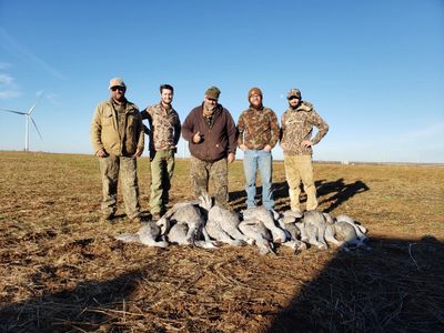 Sandhill Crane Guided Hunt Harvest in North West Texas