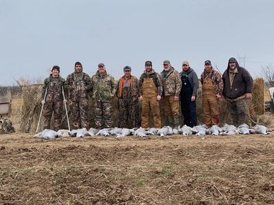 Large Guided Sandhill Crane Hunting Group in North West Texas 
