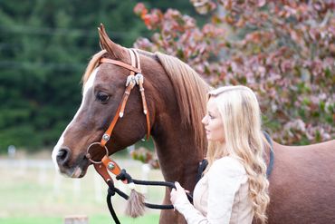 Equine Senior Portrait Photography