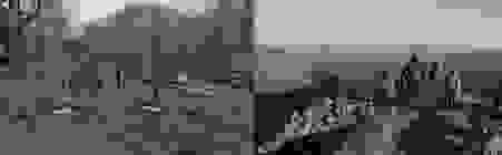 image266
