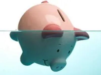 Pig drowning in water