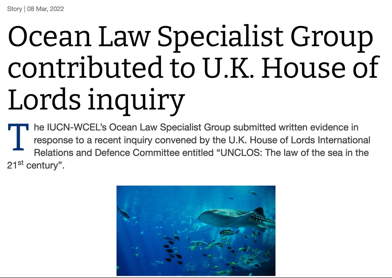 Article titled Ocean Law Specialist Group  contributed to UK House of Lords inquiry