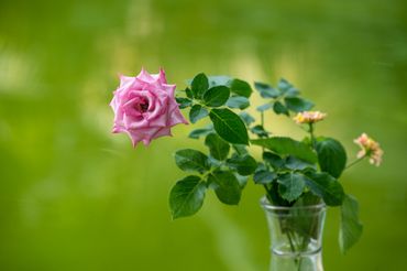 Lang Truong Tho Farmstay