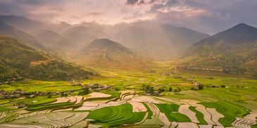 Rice terrace fields with mountain surrounding. 