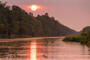 Wildlife tour in Mekong Delta, Vietnam