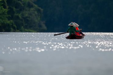 Wildlife tour in Mekong Delta