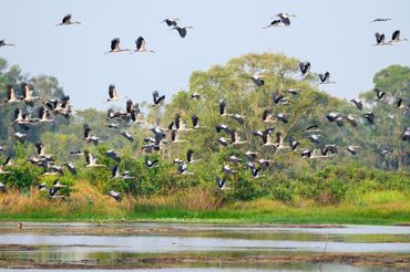 Wildlife tour in Mekong Delta, Vietnam