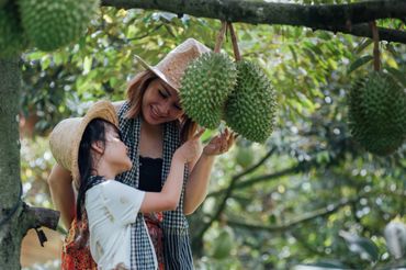 Lang Truong Tho Farmstay