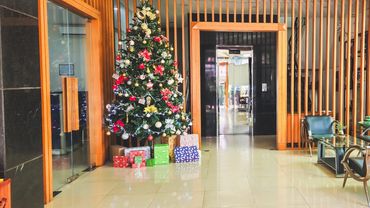 Viet Ventures Office 2025