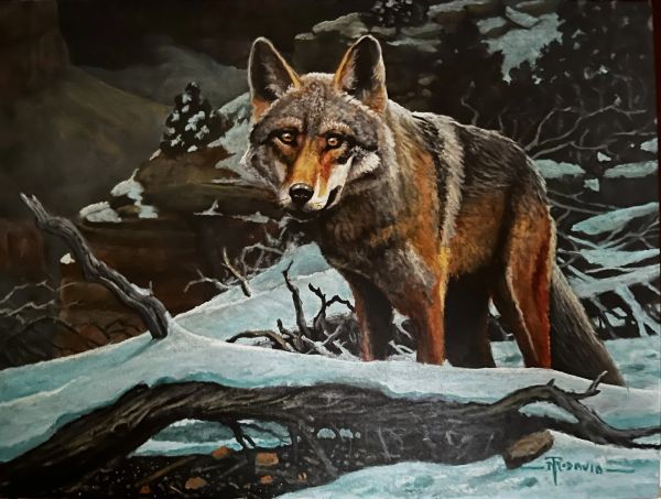 A wolf standing alert in a snowy forest at night.