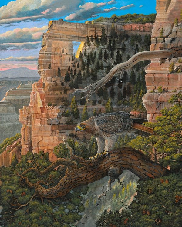 Eagle perched on a tree branch in a canyon landscape.