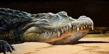 Large Gator lying on the riverbank.
15 x 30 oil on board