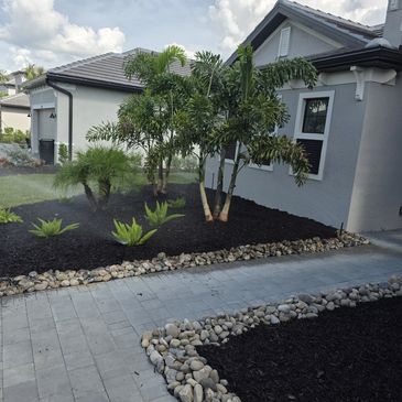 A modern house with a landscaped garden featuring palm trees and stone-bordered mulch beds.