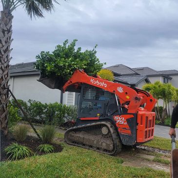 Kubota SVL75-2 skid steer loader carries a large plant in a residential yard.