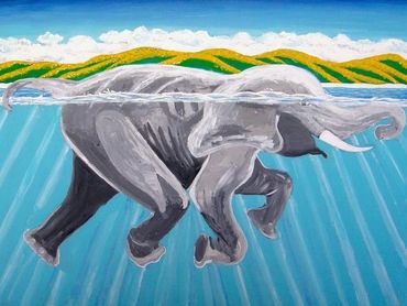 Elephant Swimming 