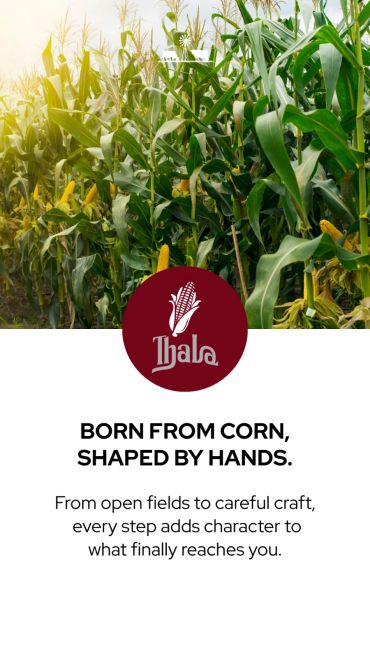 Cornfield with a brand logo and tagline about craftsmanship.