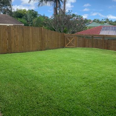 A well kept lawn that is absolutely popping with fresh vibrant green colour