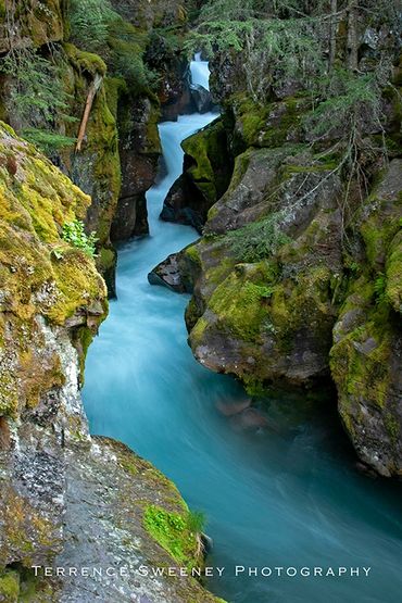 Glacier Blue Waterfall Avalanche Creek Gorge in Glacier National Park.