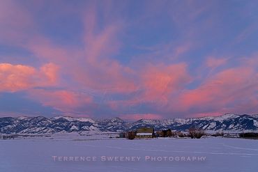 Pink Cotton Candy sunset over the Bridger Mountains in Bozeman, Montana.