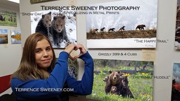 Terrence Sweeney Photography | Metal Prints | Grizzly 399 & 4 Cubs | "The Happy Trail"