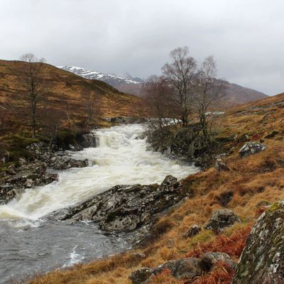 A rushing river flows through a rocky, autumnal landscape with sparse trees and distant snowy hills.
