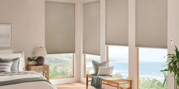 A view of window blinds