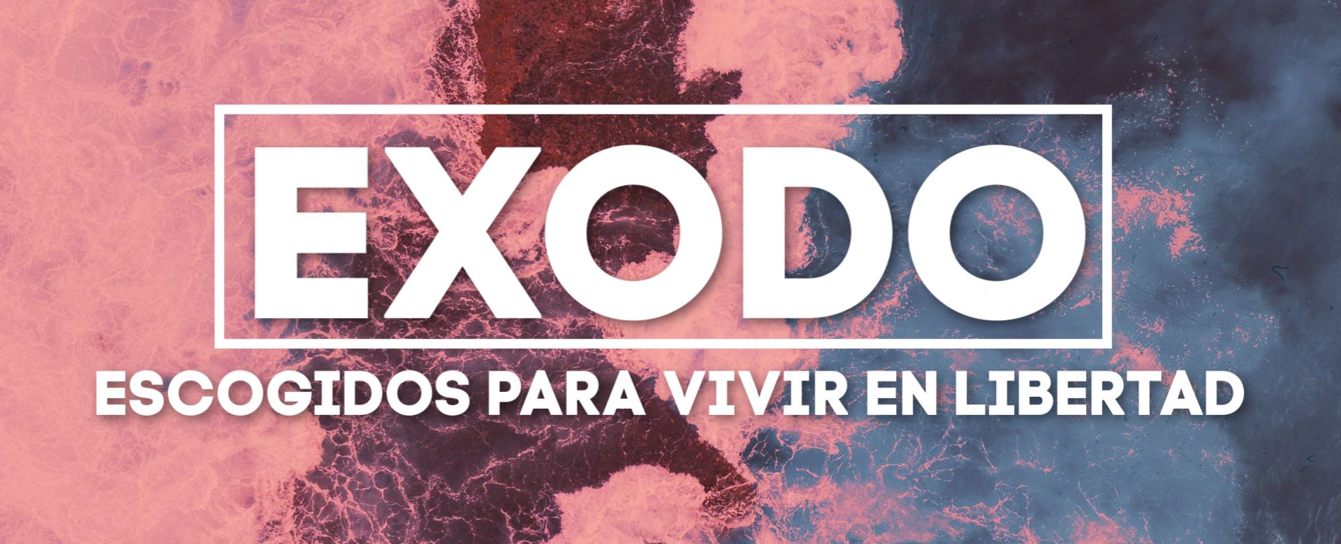 Nueva Serie