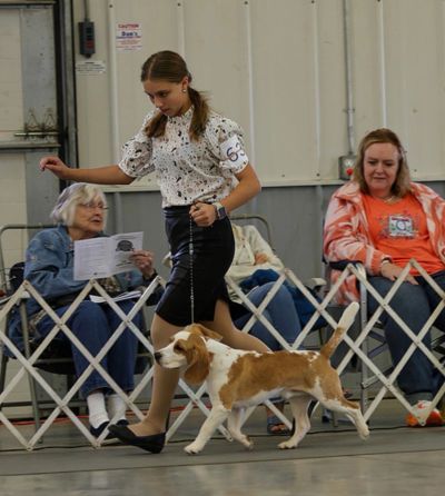 A girl walking a dog at a competition.