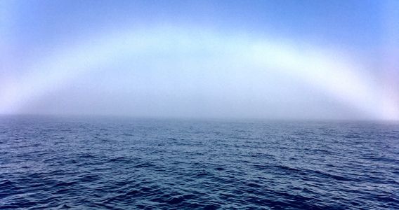 GO Fishing Dubai - Big Game fishing in Dubai - trolling regular fishing trips in Dubai UAE.