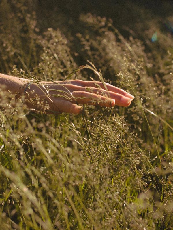 Reiki Energy Healing Hands
