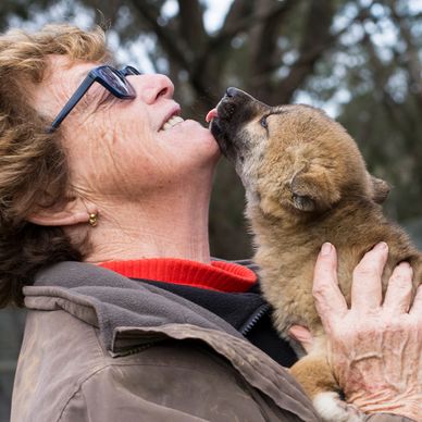 Elderly woman joyfully cuddling a puppy licking her face outdoors.
