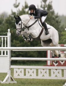 cheval sauteur en compétition