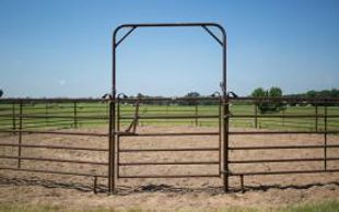 Priefert walk thru gate, gate, round pen panel, Sliding piston latch, horse