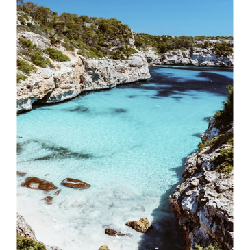 Plant Based Tour in Spain