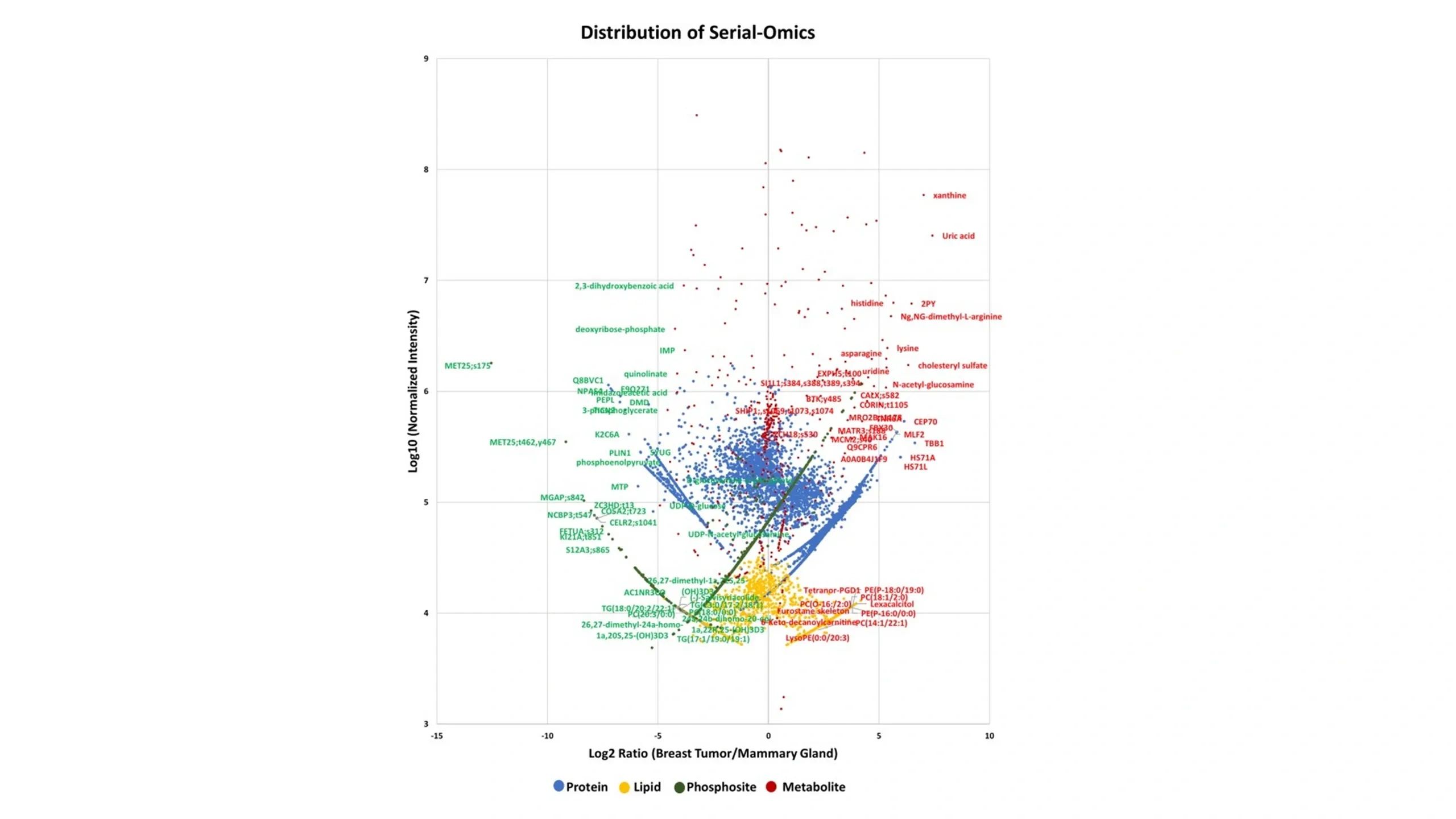 The omics distribution of phosphoproteomics, metabolomics and lipidomics analyses of a breast tumor