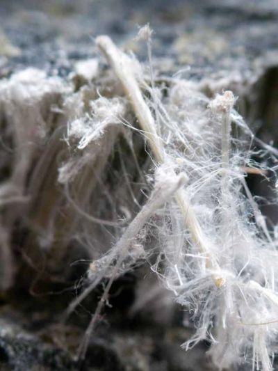 Close-up of fibrous white material on a rough surface.