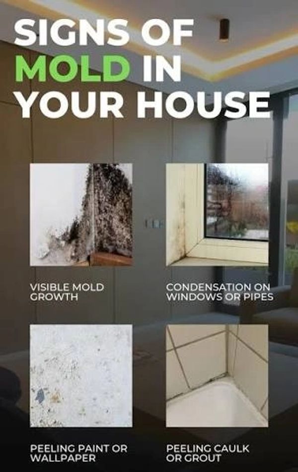 Signs of Mold in your house. Visible Mold Growth, Condensation on Windows or Pipes, Peeling Paint or