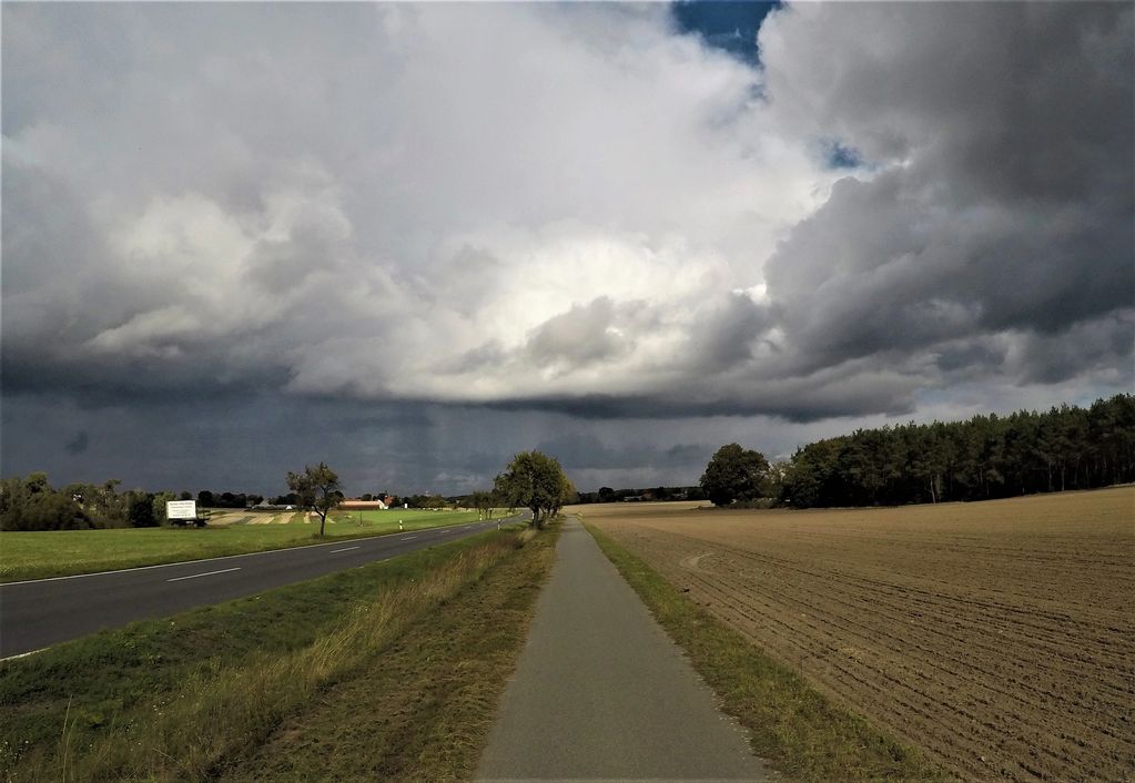 We can also have a video consultation so you could ask more specific questions.