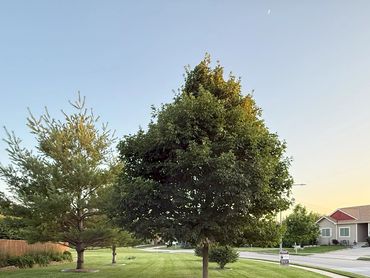 Justin September photos