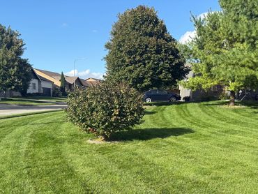 Justin September photos