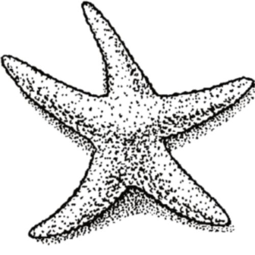 image565