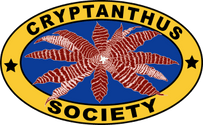 Cryptanthus Society